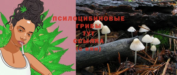 амфетамин Белокуриха