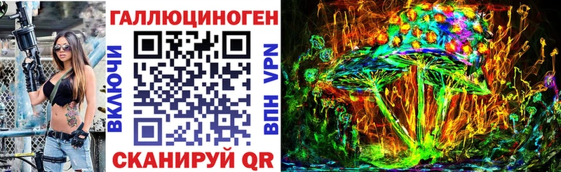 kraken ТОР  Сердобск  Псилоцибиновые грибы Cubensis 