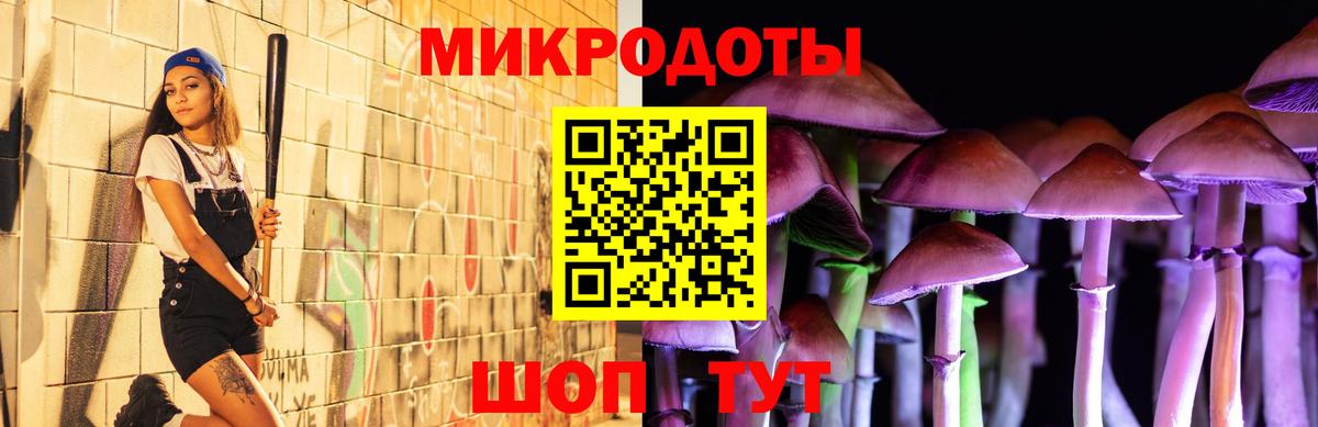 Галлюциногенные грибы мухоморы  Вход с VPN  Сердобск 
